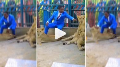 Pastor Storms Lions Cage To Demonstrate His Power-Viral Video